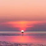 Langkah Kecil yang Membantu Hari Terasa Lebih Teratur